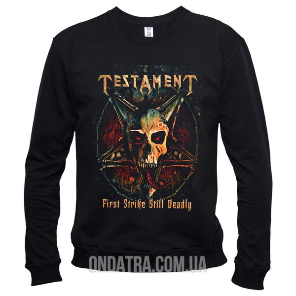 Testament 02 - Свитшот мужской фото