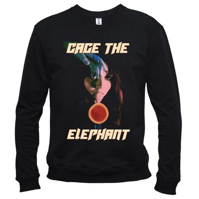 Cage The Elephant 05 - Світшот чоловічий фото