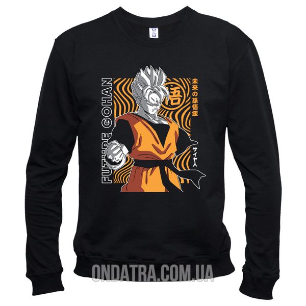 Dragon Ball 01 - Свитшот мужской, Черный, XS, Легкая двунитка 220 г/кв.м., 2123011